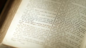 Songs of Praise - Verse In The Church