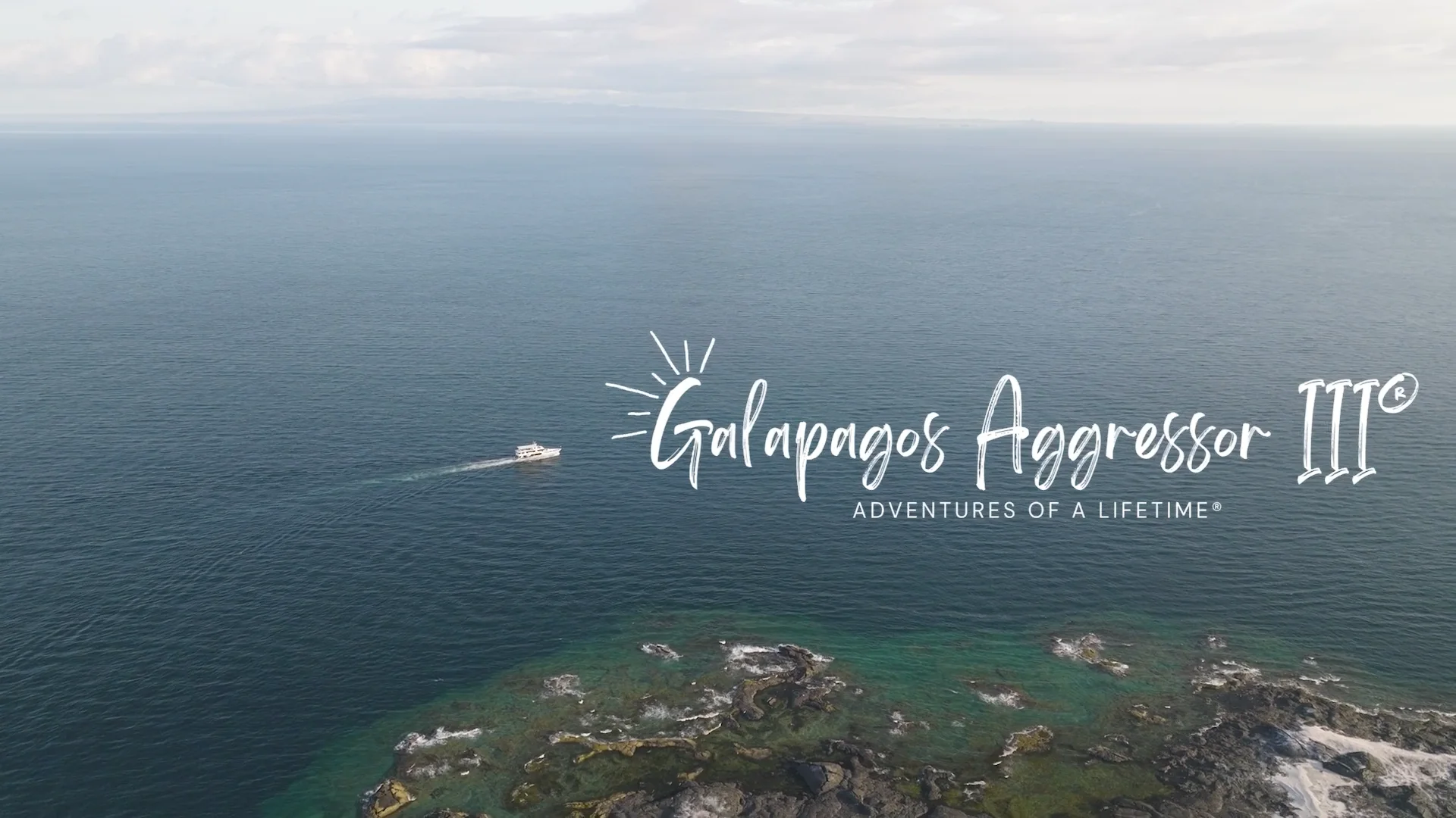 Galapagos 2026 - WB Diving