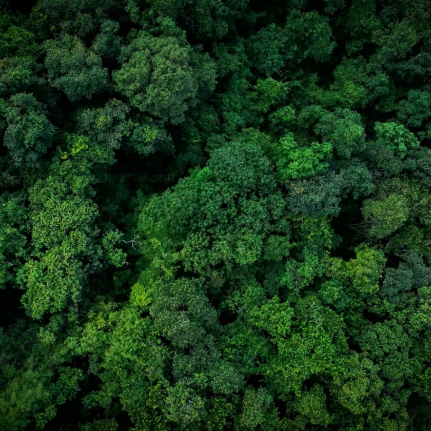 vimeo-video-thumbnail