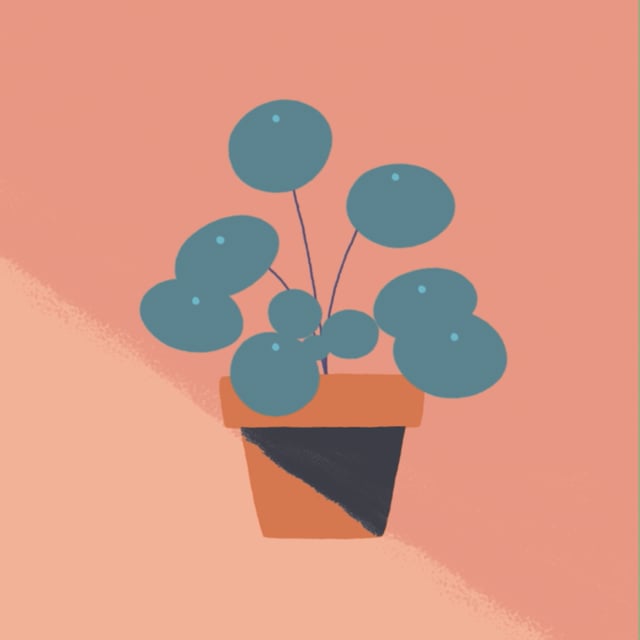 Loops