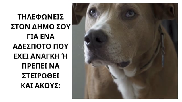 Δικαιολογίες...