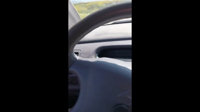 Δίπλα στον σκουπιδότοπο στην Περαία ο Δήμος Θερμαϊκού συγκεντρώνει σκυλιά 29-4-2025