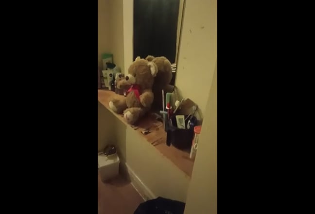 Move in 1 April  girls and  couples Main Photo