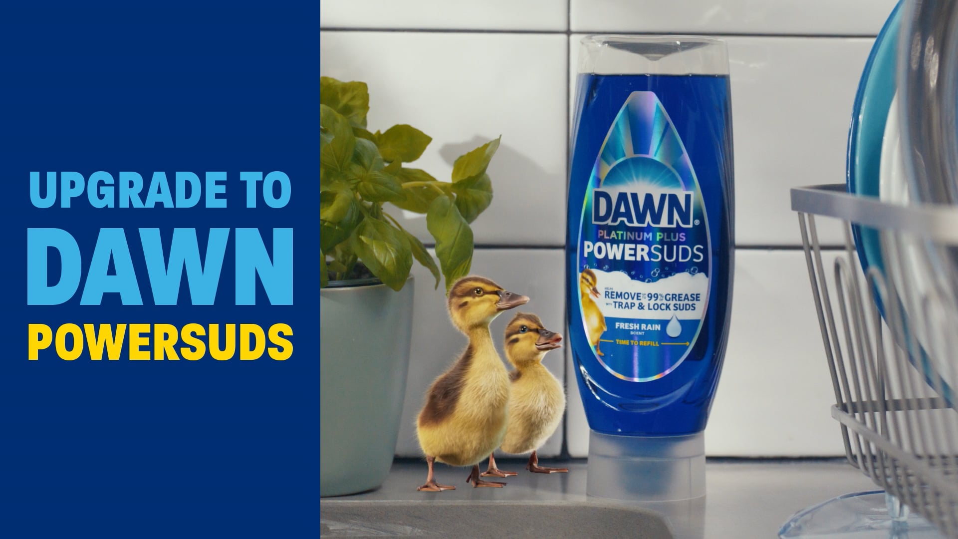 Dawn - PowerSuds