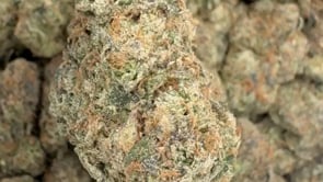 bubblegum