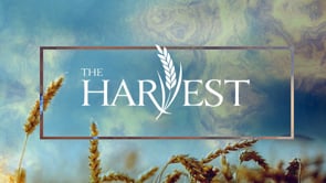 The Harvest