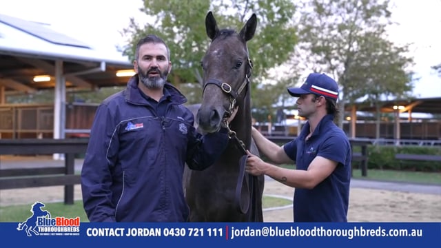 101 Cosmic Force x Tinai Colt David