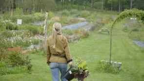 UDI_BLD_H02 Blomster og baerekraft_BM_MASTER_HD