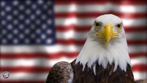 RIP Bald Eaglets!