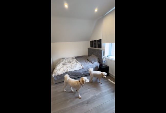En-suite double bedroom available to rent  Main Photo
