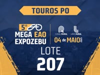 Lote 207