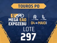 Lote 297