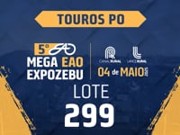 Lote 299