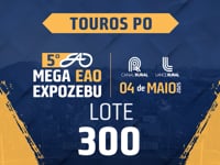 lote 300