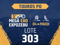 Lote 303