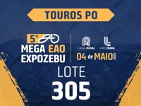 Lote 305
