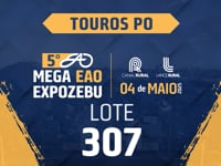 Lote 307