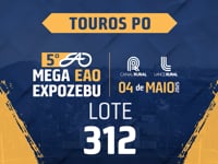 Lote 312