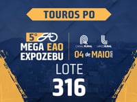Lote 316