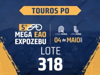 Lote 318