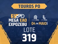 Lote 319