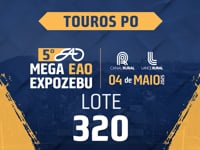 Lote 320