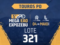 Lote 321