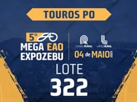 Lote 322