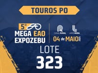 Lote 323