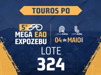 Lote 324