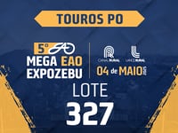 Lote 327