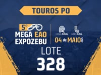 Lote 328