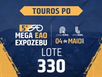 Lote 330