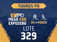Lote 329