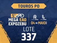 Lote 337