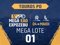 MEGA LOTE 01