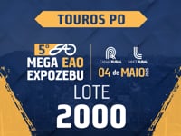 Lote 2000