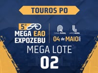 MEGA LOTE 02