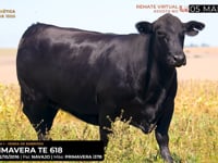 LOTE 05