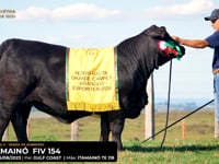 LOTE 16