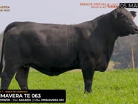 LOTE 04