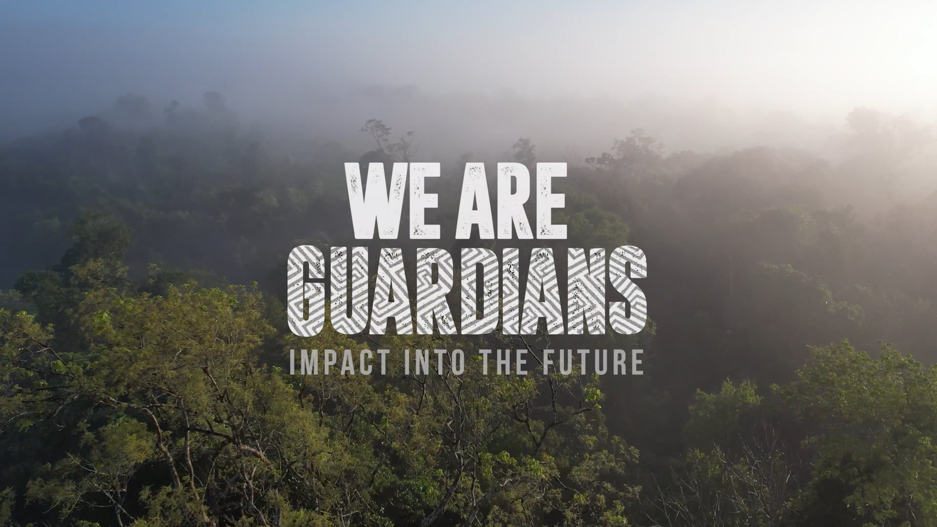 We Are Guardians Impact Campaign