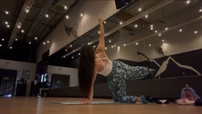 Strong, Stable Core ~ Vinyasa Part 2