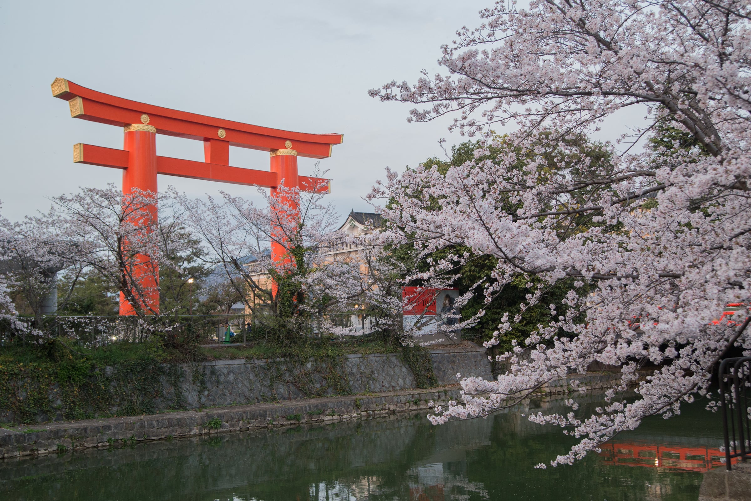 Japan in April | Videos & Movies on Vimeo
