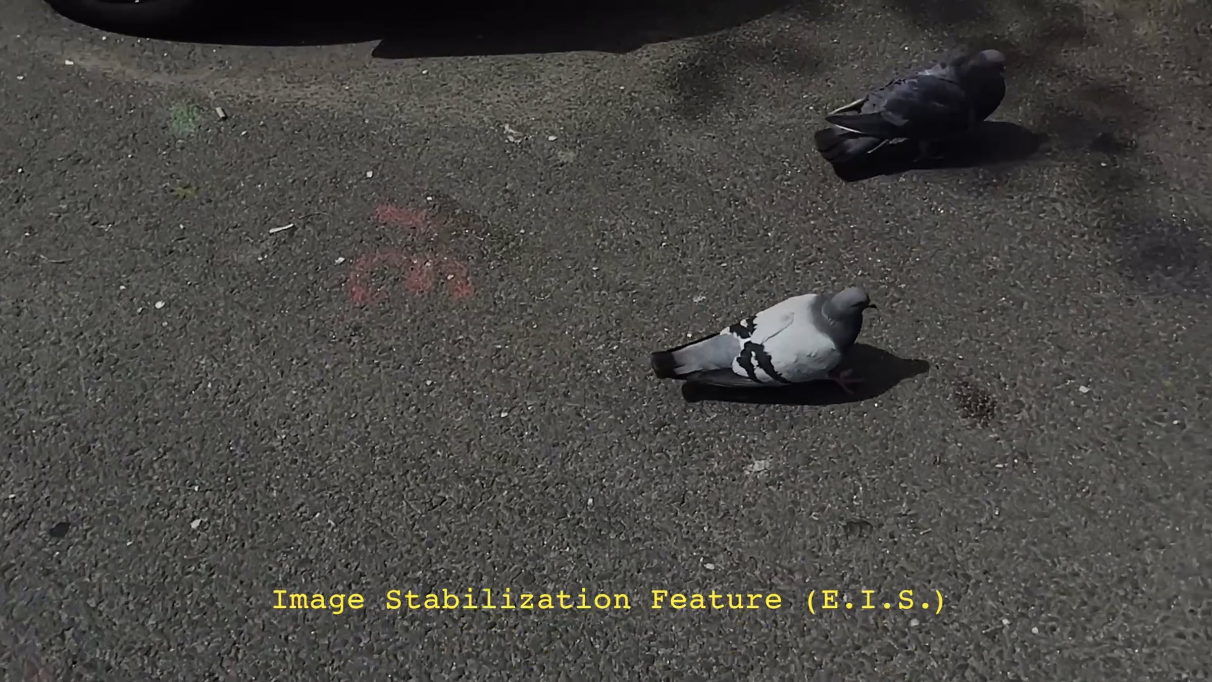 Image Stabilization Demo (E.I.S.) | Videos & Movies on Vimeo