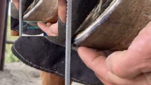 Related Embedded Video Item Thumbnail