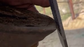 Related Embedded Video Item Thumbnail