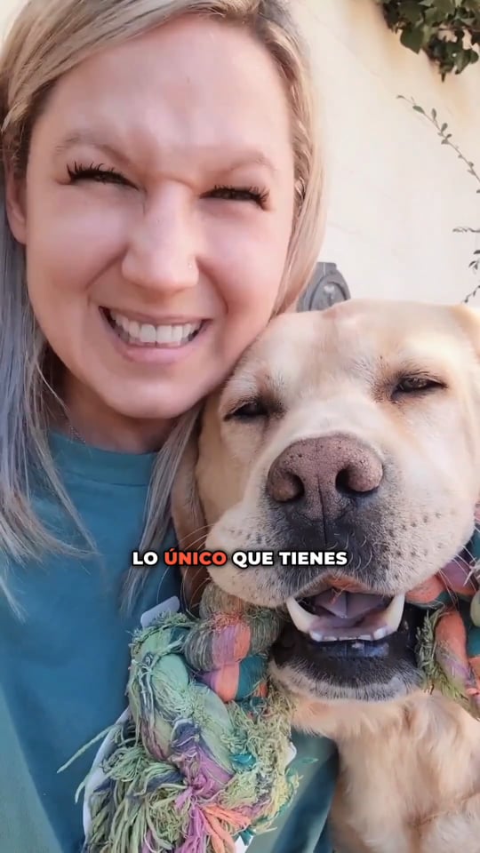 Qué es Perrunología, contado por Anika en vídeo