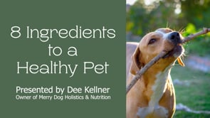 8 Ingredients to a Healthy Pet