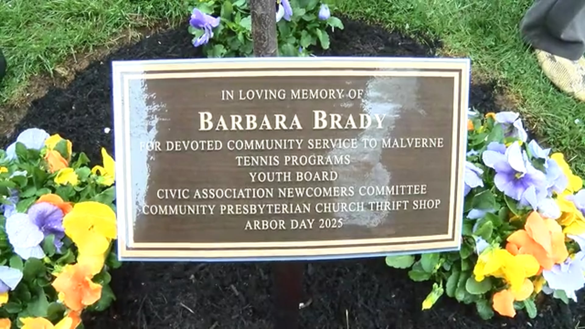 Arbor Day  - April 26, 2025